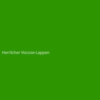 Herrlicher Viscose-Lappen