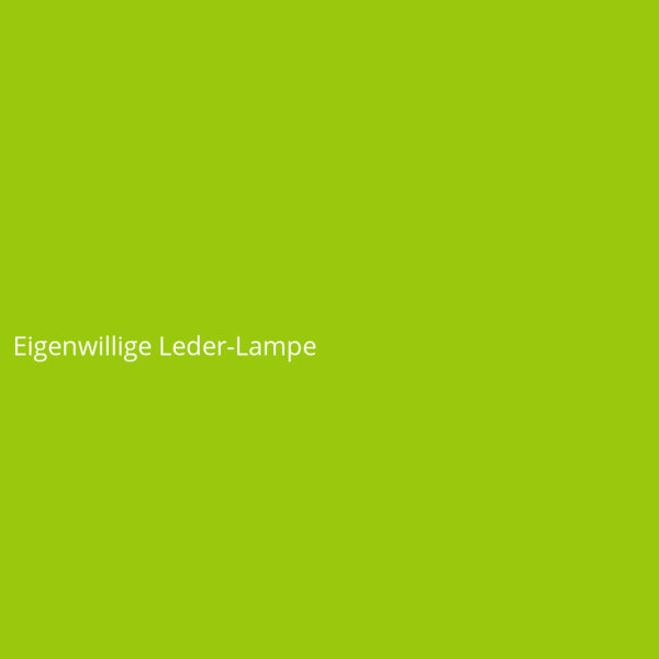 Eigenwillige Leder-Lampe