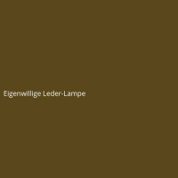 Eigenwillige Leder-Lampe