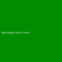 Eigenwillige Leder-Lampe